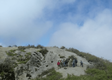 pedra do cachorro