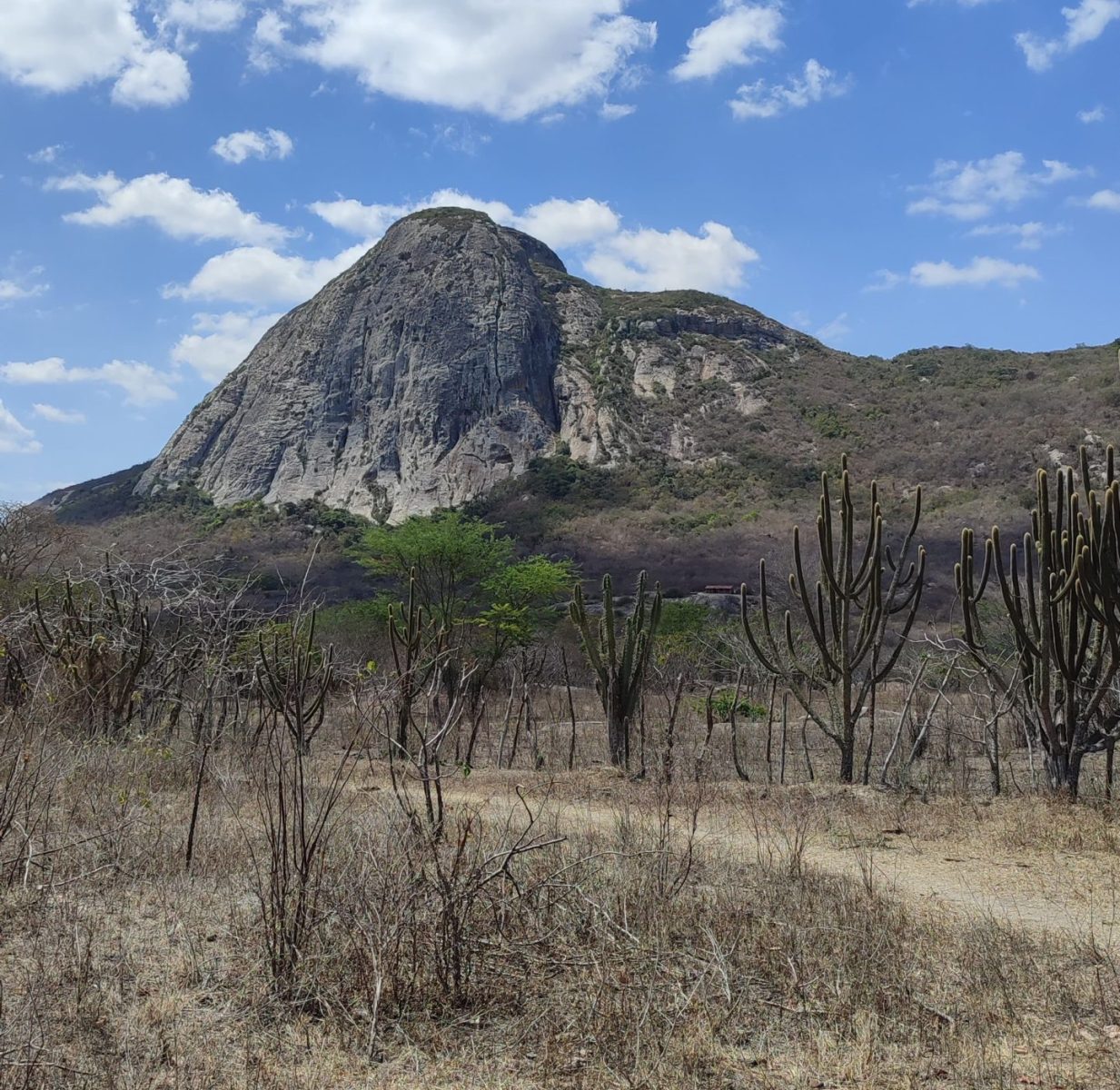 Pedra do Cachorro